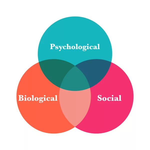 Biopsychosocial Model